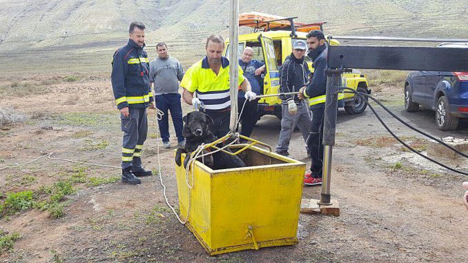 Hunderettung in La Oliva