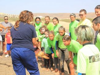 Schildkröten Freilassung Fuerteventura