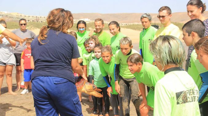 Schildkröten Freilassung Fuerteventura