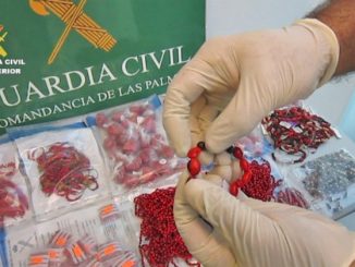 Patersnostererbse Schmuck