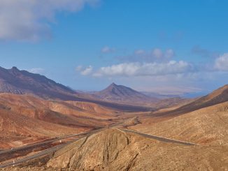 Keine Pflanzen- Keine Pollen. Fuerteventura ist perfekt bei Pollenallergie