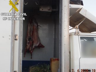 fotografía medios carne trasnporte FVT