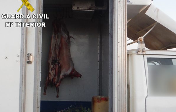 fotografía_medios_carne_trasnporte_FVT
