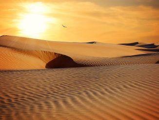 Staub aus der Sahara in den Dünen Fuerteventuras nachgewiesen 1 Dünen