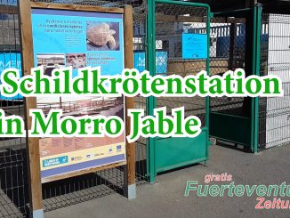 Schildkrötenstation w