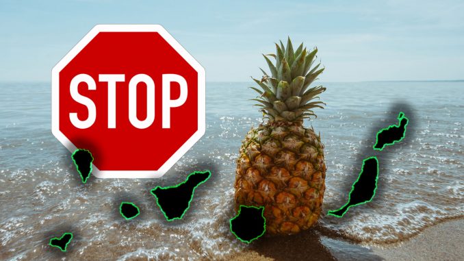 Ananas-vebot