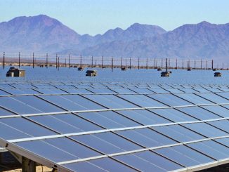 Solar park Fuerteventura w