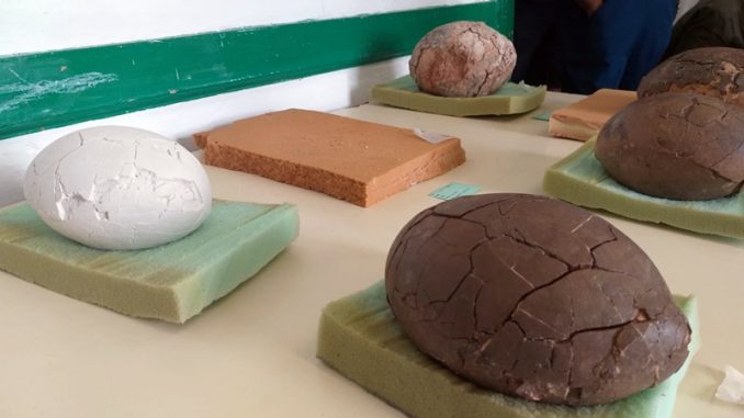 Strausseneier Lanzarote