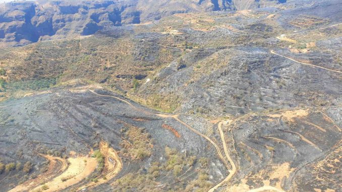 Waldbrand auf Gran Canaria unter Kontrolle