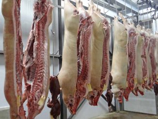 Schweinehälften