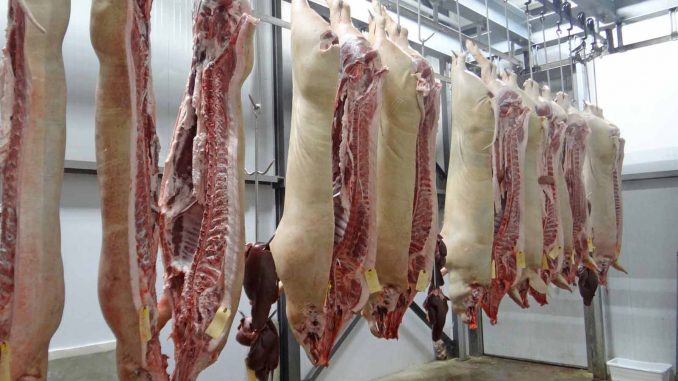 Schweinehälften