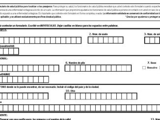 Formular Einreise Spanien web