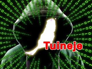 Hackerangriff auf Fuerteventura Tuineje