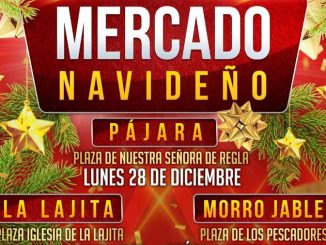 Cartel Mercado Navideno Pajara web