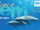 FEM2021 Bild web