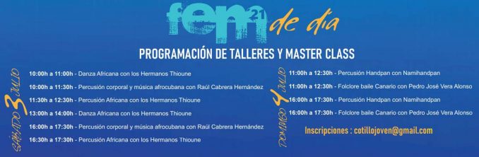FEM21 Workshops web