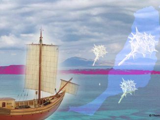 Roemer Lobos Fuerteventura Purpur