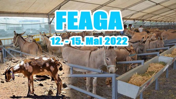 Feaga-2022_web