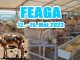 Feaga 2022 web
