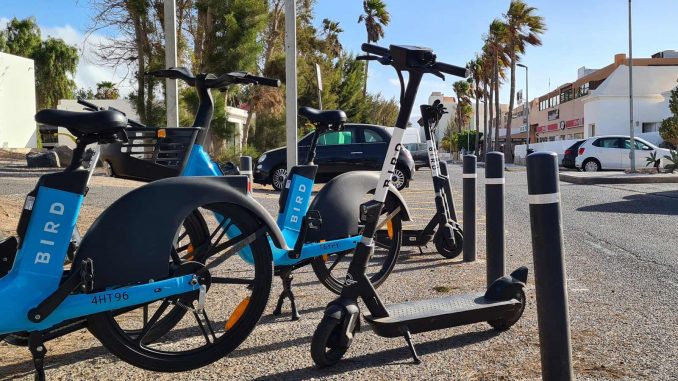 Bird-Roller-und-Bikes-Fuerteventura