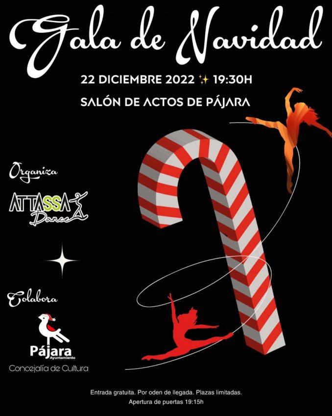 Gala Navidad Tanz