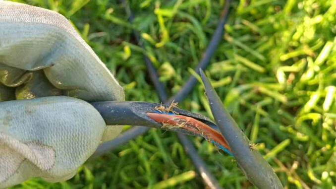Zwerschnittenes Kabel