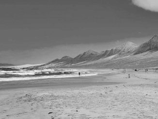 Strand Cofete Fuerteventura sw web