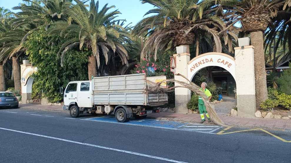 Gruenzone Costa Calma