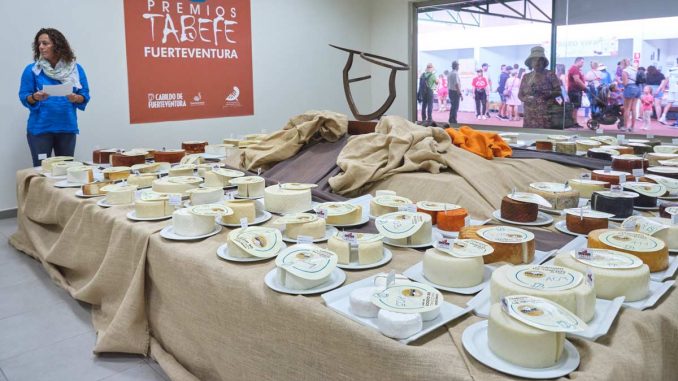 20230513_tabefe_feaga-web