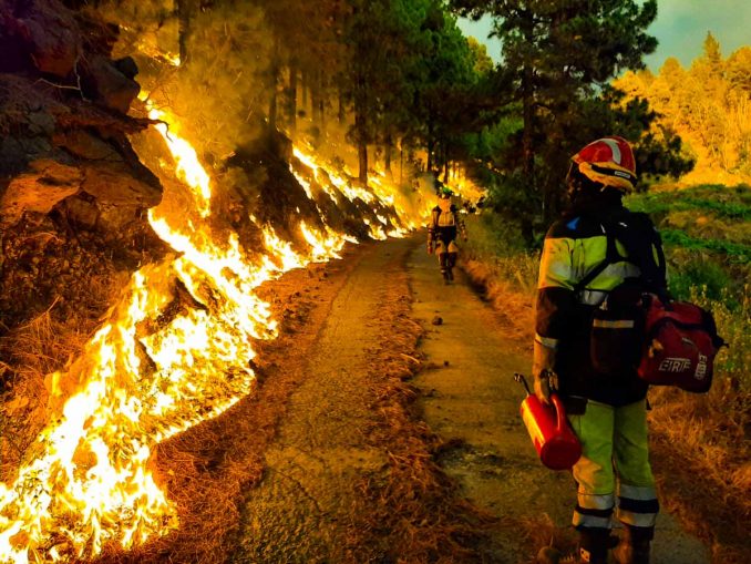 Feuer La Palma Brandschneise