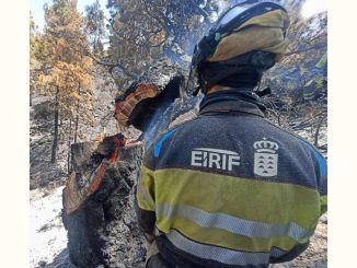 Feuer La Palma Glutnest