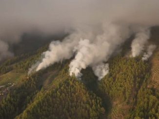 Feuer La Palma Waldbrand Rauch