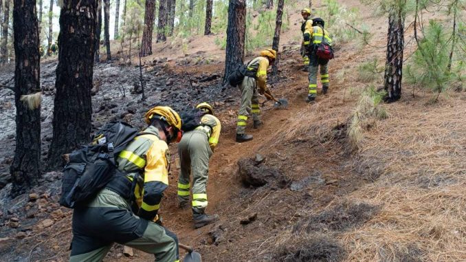 Feuerwehr-La-Palma-Waldbrand-stabil