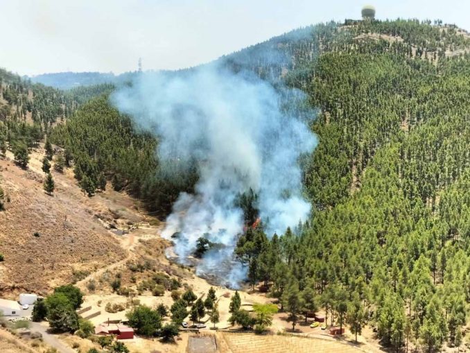 Waldbrand Gran Canaria Ursprung