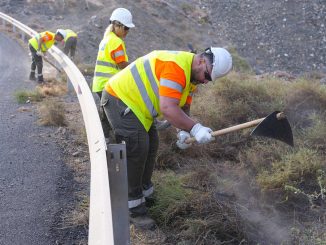 Strassenreinigung Unkraut Fuerteventura